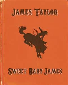 sweet baby james book